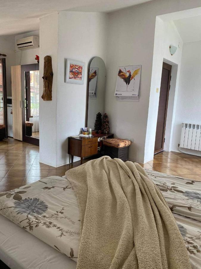 Art Studio Sapareva Banya Luaran gambar